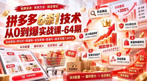 拼多多6杀1技术从0到爆实战课-64期:机会商品+防比价+限量购+全站营销+直通车+裂变完整六步打法