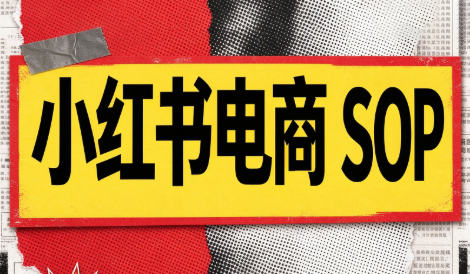 书豪必胜小红书电商sop(更新9月)