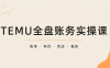 TEMU全盘账务实操课:账单导出、科目设置、利润核算