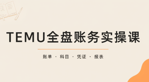 TEMU全盘账务实操课:账单导出、科目设置、利润核算