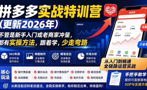 拼多多实战特训营(更新1029