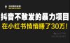 抖音不敢发的暴利项目，在小红书悄悄挣了30W