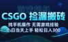 8月最新游戏搬砖，CSGO纯挂G，不需要玩游戏，实现真挂G，月入1W+【揭秘】