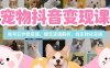 宠物抖音变现课，账号五件套搭建，爆流逻辑解析，挂车转化实操