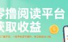 零撸阅读平台获取收益，最新无门槛平台，一部手机即可操作，单日收益50-3张【揭秘】