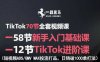 TikTok全套视频课，新手入门+进阶课，短视频ADS-GMV MAX投流打品，日销破1000单打法
