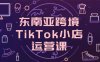 东南亚跨境TikTok小店运营课，掌握店铺设置与流量转化核心技巧