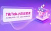 TikTok小店运营课，从店铺装修到达人合作，涵盖订单处理全流程