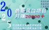 2025广告赛道新风口-月赚2W＋玩法简单，时间自由