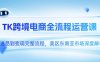 TK跨境电商全流程运营课，从选品到变现完整流程，美区东南亚市场深度解析