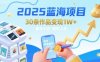 2025蓝海项目30条作品 变现1w+ 有手就能操作适合小白做
