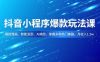 抖音小程序爆款玩法课，萌娃漫画、智能发型、AI换脸，掌握多种热门套路，月收入1.5w