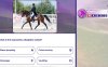 《马术训练 Equestrian Training》Switch英文版NSP下载
