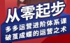 拼多多运营进阶系统课，从零起步，多多运营进阶体系课，破茧成蝶的运营之术(更新9月)