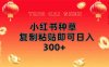 小红书种草无脑操作复制粘贴即可日入300+