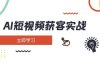 AI短视频获客实战：涵盖矩阵营销、搭建、定位、素材拍摄、起号、变现等
