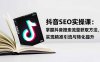 抖音SEO实战引流课：掌握抖音搜索流量获取方法，实现精准引流与转化提升