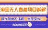 淘宝无人直播项目拆解，操作简单不违规，当天见效 日入300+新赛道