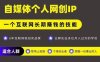 网创类公众号项目，自媒体个人网创IP，强IP强变现，操作一辈子