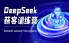 DeepSeek获客训练营-ai电商教程