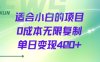 适合小白的项目0成本无限复制单日变现4张+