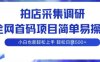 拍店采集调研，全网首码项目，简单易操作， 小白也能轻松上手，多账号操作，轻松日入5张【揭秘】