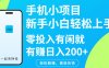 手机小项目新手小白轻松上手零投入有闲就有赚日入200+