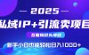 2025网创尽头项目，私域IP+引流，新手小白也能在家日入1000+