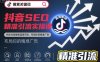 抖音SEO精准引流实操课，抓住抖音搜索蓝海市场，布局你的精准广告