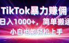TikTok搬运暴力赚佣，日入1000+，简单搬运，小白也能轻松上手