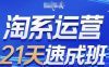 淘系运营21天速成班，0基础轻松搞定淘系运营，不做假把式，快速复制落地(更新26年1月)