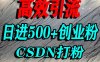 怎么打创业粉？CSDN又一个你不知道的打粉引流神秘平台，单人日引500+精准流量