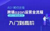 OZON入门到高阶全流程，从0-1助你出海，跨境ozon运营全流程