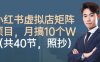 小红书虚拟店矩阵项目，照抄照做，月搞1W+(共40节)