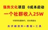 强势文化项目，一个社群收入25个W，0成本启动，可矩阵批量操作，原创详细实操教程