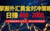 掌握外汇黄金对冲策略，日赚 800 – 2000，小众高回报创业机会，助你实…