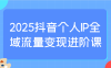 2025抖音个人IP全域流量变现进阶课：选爆品、抖音付费投流、千川投流实操及优化等