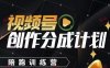 视频号创作分成计划陪跑训练营，手把手教会你如何制作视频，细水长流型项目