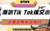 海外tiktok小说推文暴力项目，高停留率，高转化率，上手后一天搞顿饭钱不是问题