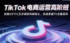 TikTok电商运营高阶班：拆解OPTIC五步模型构建核心，快速掌握Tk流量密码