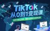 TikTok从0到1变现课，账号注册全流程，爆款内容制作与矩阵运营