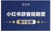 抖音小红书视频号短视频带货与直播变现(11-16期),打造爆款内容，实现高效变现(更新)