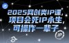 2025网创类IP课，项目会死IP永生，可操作一辈子