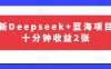 最新Deepseek+蓝海项目，十分钟收益2张