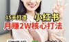小红书月赚2W个核心打法，15天打造出快速赚钱的小红书账号