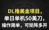 DL撸美金项目，单日单机50美刀，操作简单，可矩阵多开