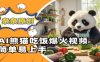 Ai熊猫吃饭爆火视频，条条原创，简单易上手
