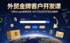 外贸金牌客户开发课，12种Google搜索密技，B2C平台逆向开发实战解析