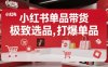 小红书单品带货，极致选品，打爆单品(更新)