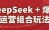 DeepSeek+爆品运营组合玩法，2025淘系精品课